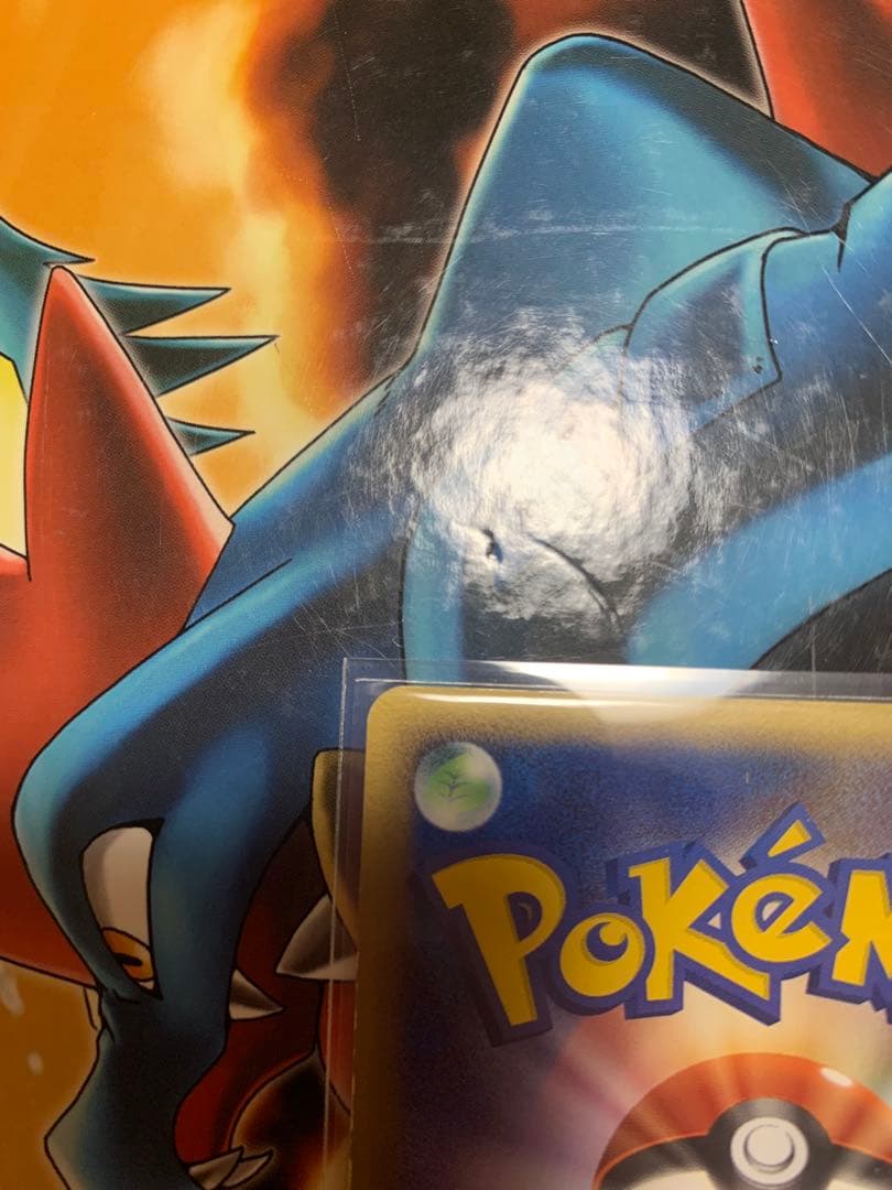 ワン太郎様リクエスト ピカチュウ ミュウツー ライコウ⭐︎シリーズ 美