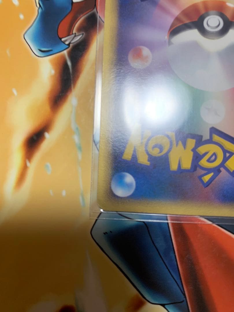 ワン太郎様リクエスト ピカチュウ ミュウツー ライコウ⭐︎シリーズ 美