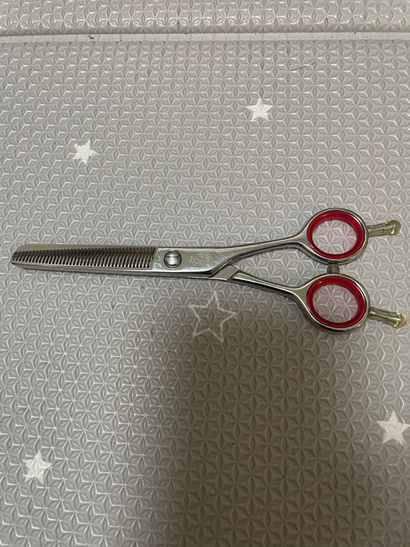 光シザーセニング　トレンディⅣ 744