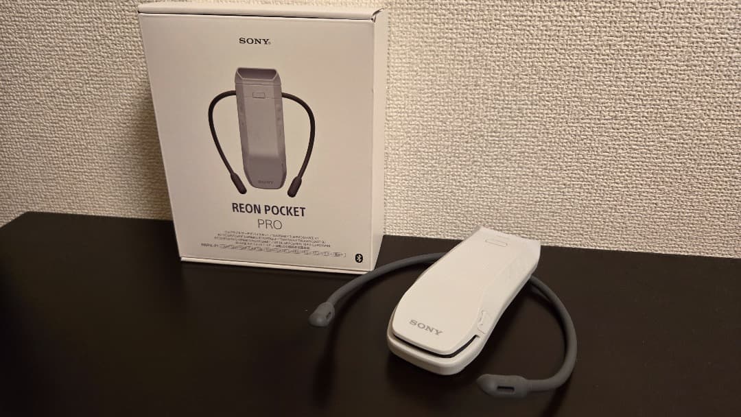 【美品】SONY REON POCKET PRO (レオンポケット)