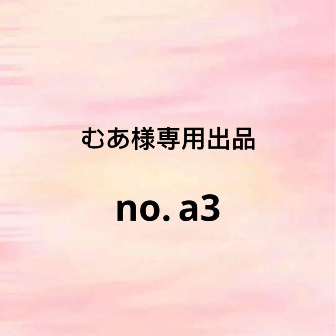 むあ出品no.a3