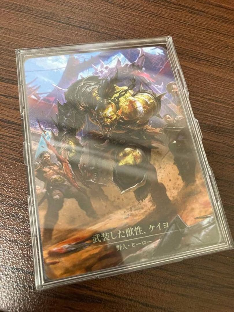 Kayo, Armed and Dangerous 武装した獣性、ケイヨ