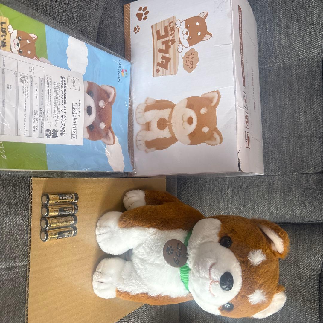 しばいぬコウタ　バンダナ無し ポイント10倍＋1000円OFFクーポン】 こんにちワン！ しばいぬコウタ