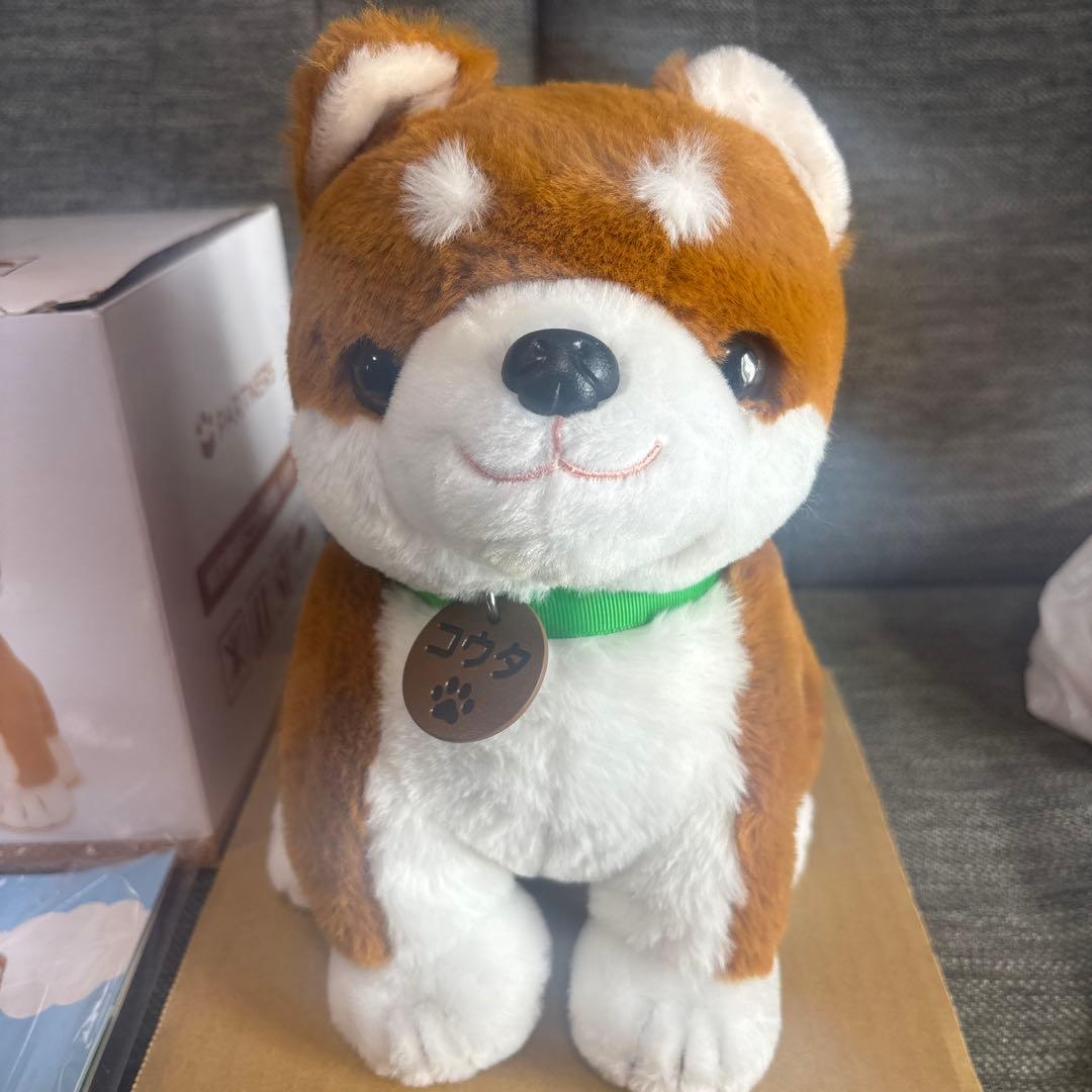 しばいぬコウタ バンダナ無し