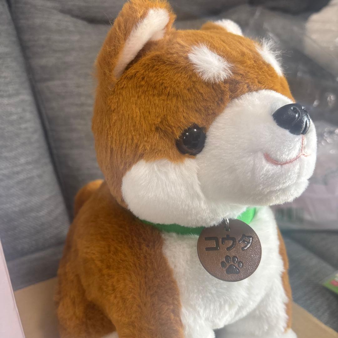 しばいぬコウタ バンダナ無し しばいぬコウタ バンダナ付きセット しば