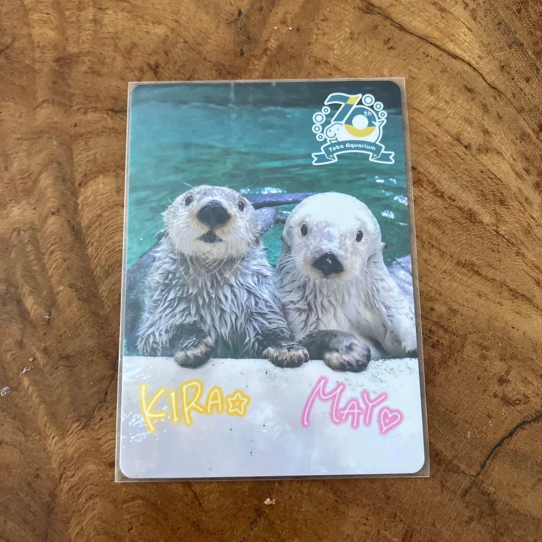 【週末値下げ中】鳥羽水族館コレクションカード　レアキラメイ