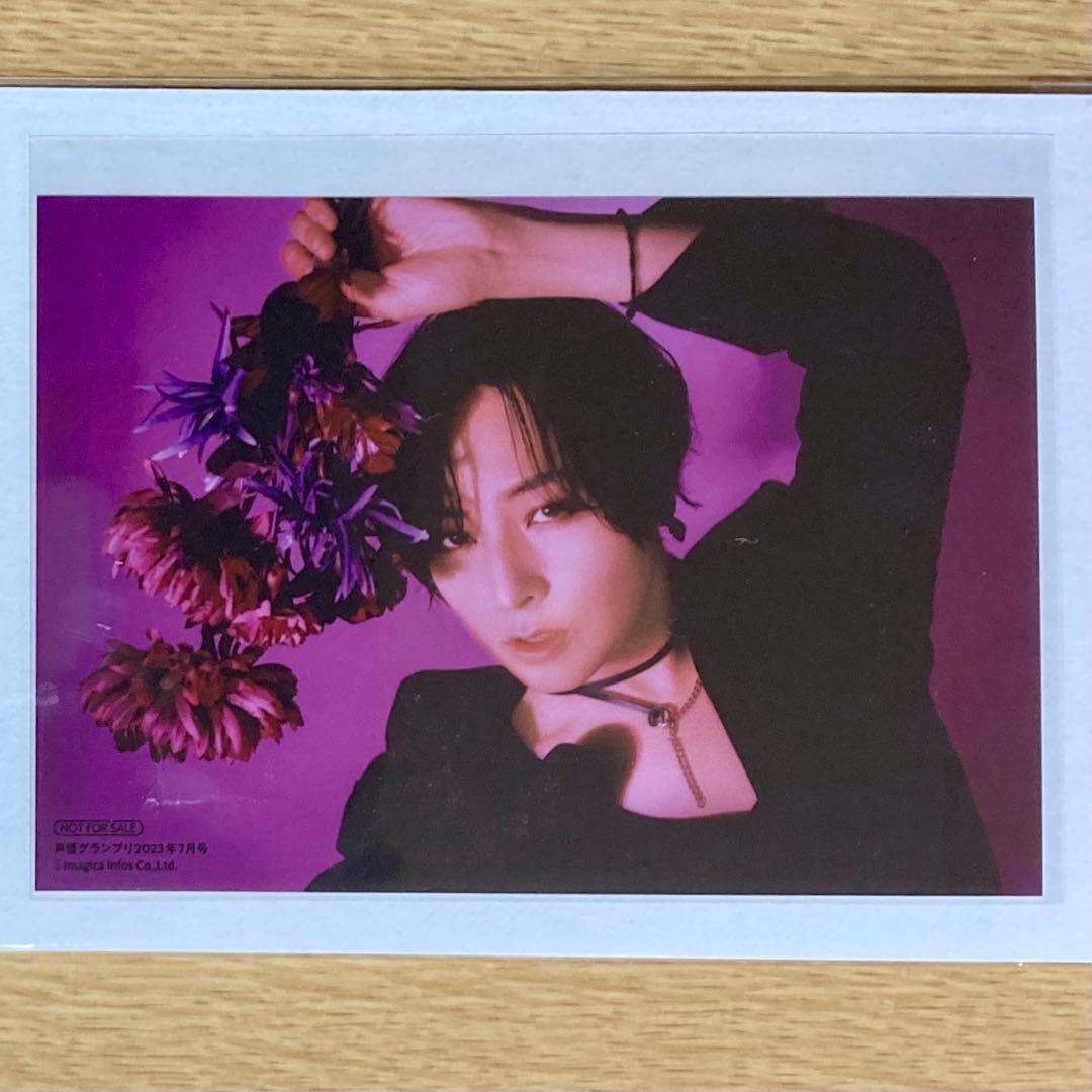 蒼井翔太 ブロマイド 声優グランプリ 2023年7月号 アニメイト特典