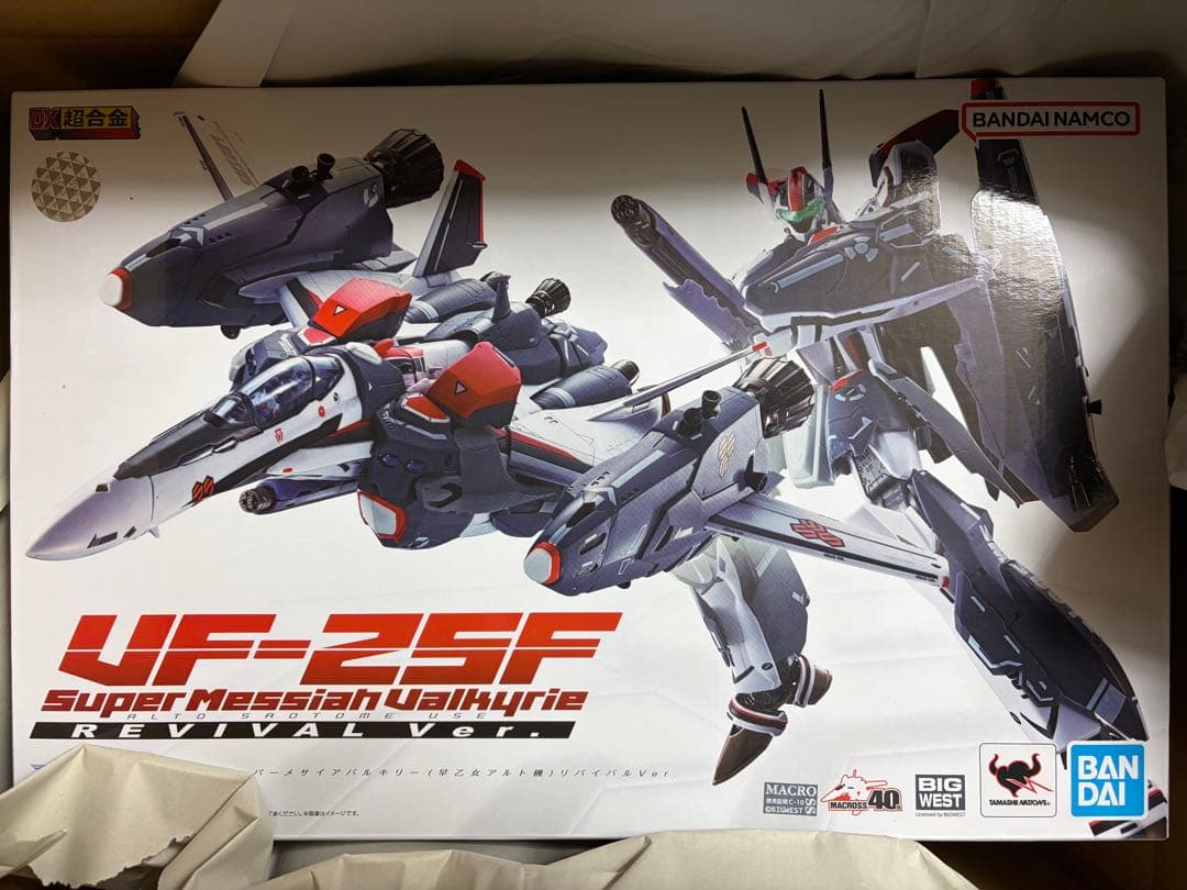 VF-25F スーパーメサイアバルキリー (早乙女アルト機) リバイバル