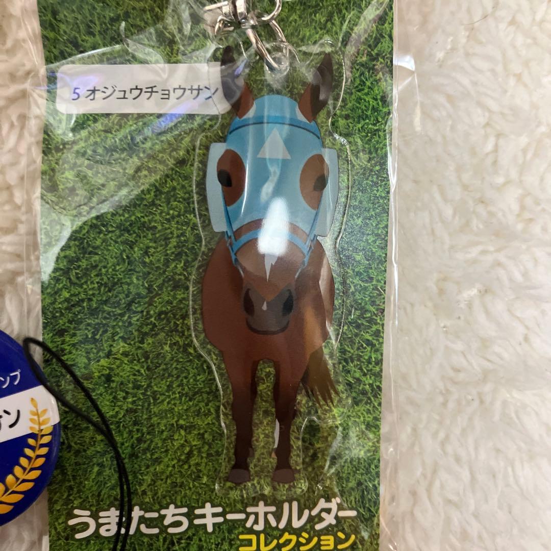 競馬 オジュウチョウサン ストラップ アクリルキーホルダー - メルカリ
