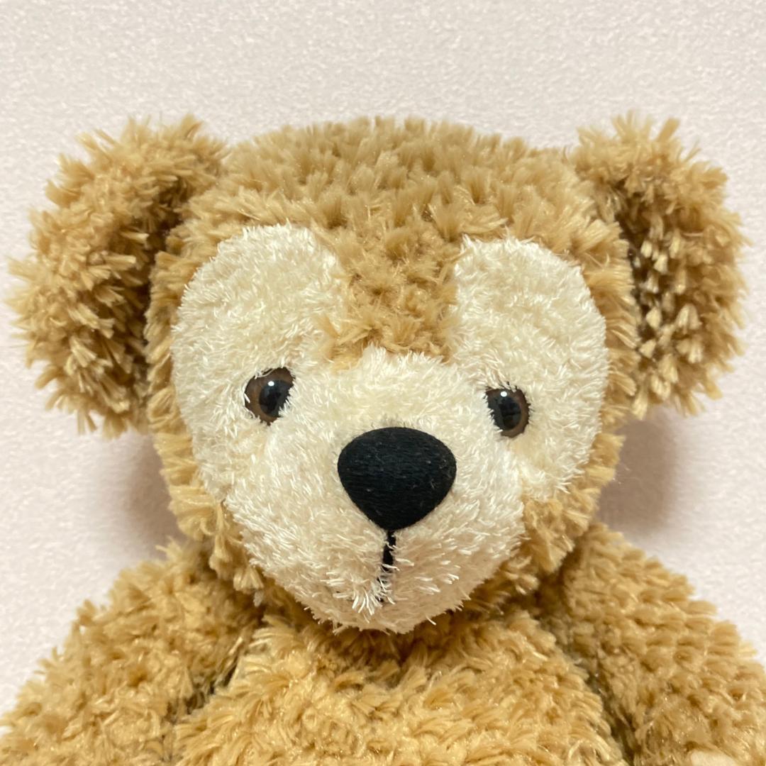 レア☆ 東京ディズニーシー ダッフィー&シェリーメイ ぬいぐるみ2体