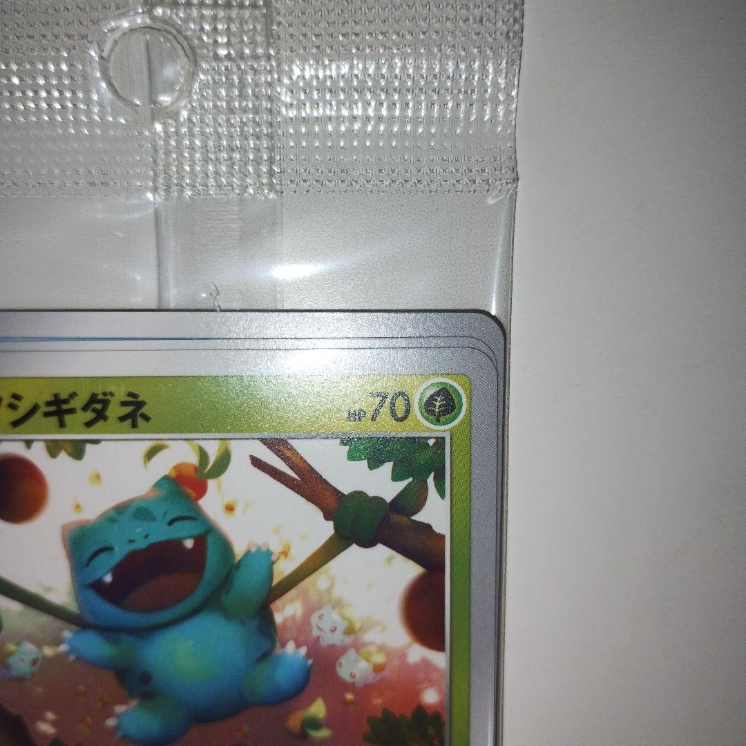 未開封 イラストレーションコンテスト 2022 プロモ フシギダネ