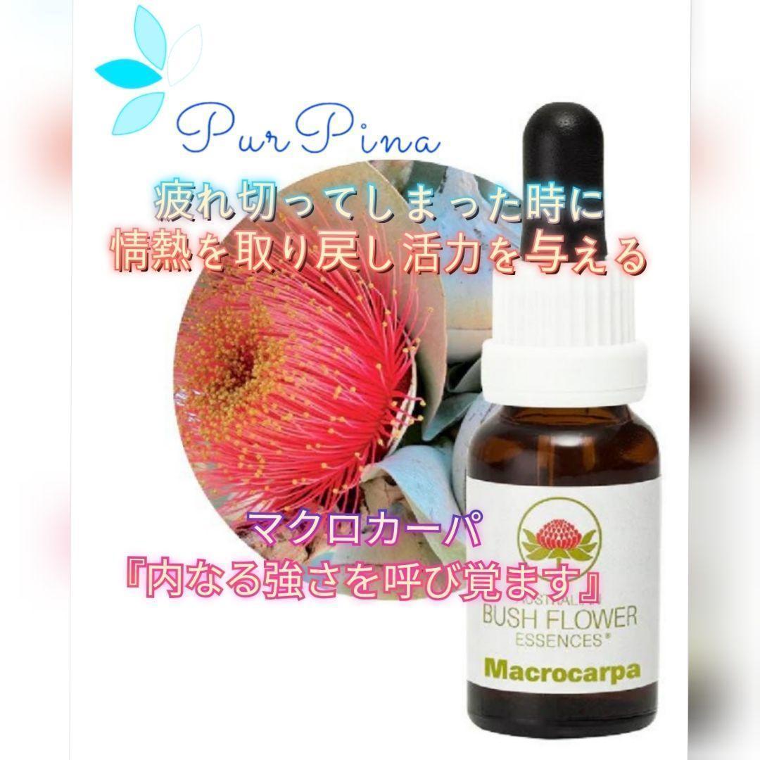 【予約品】マクロカーパ　オーストラリアンブッシュフラワーエッセンス