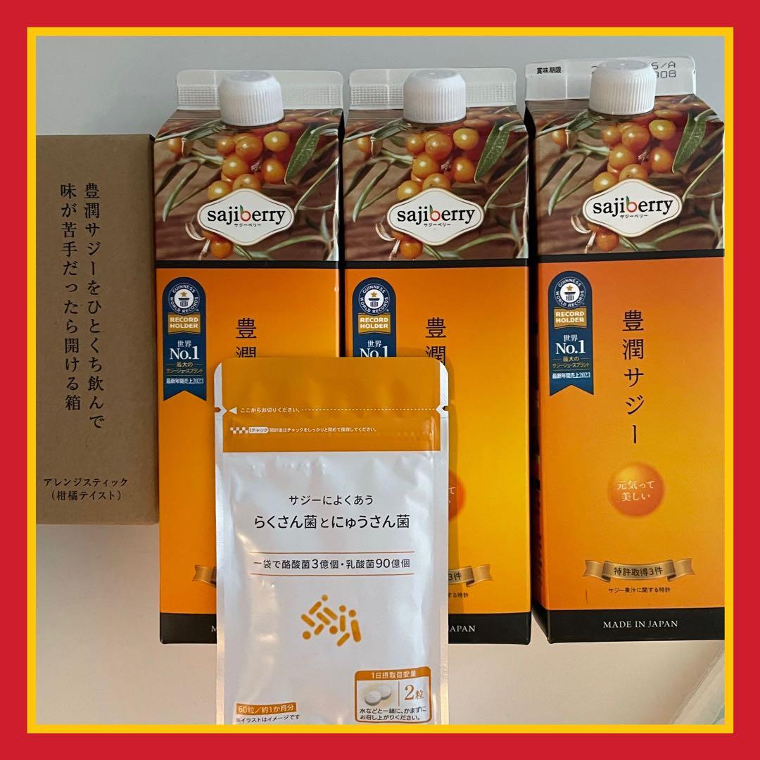 豊潤サジー 1000mL 3本セット　らくさん菌とにゅうさん菌