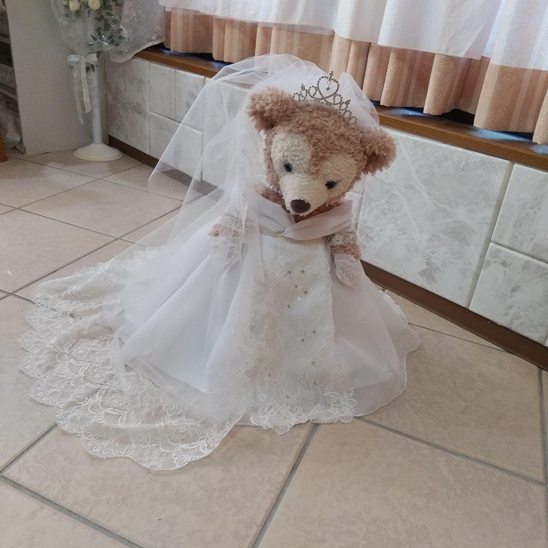 みっちゃん様用ダッフィーシェリーメイコスチューム 楽天市場】シェリーメイ コスチューム ウィッシング・ウィングス