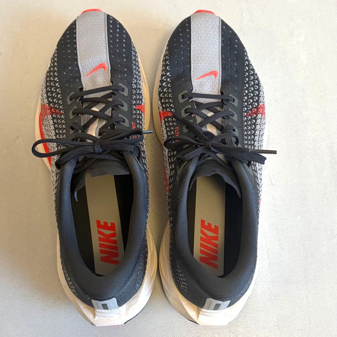 Nike Pegasus Plus 26.5cm ランニングシューズ