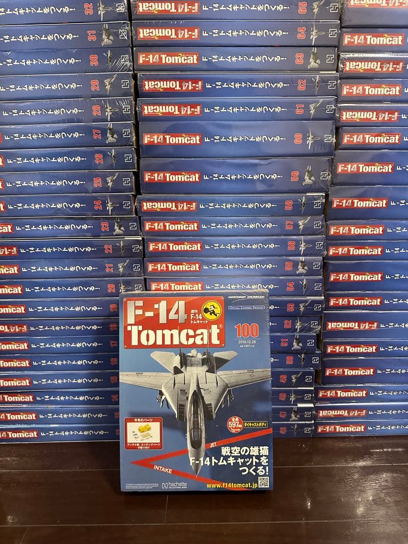 F-14トムキャット Hobby Master F-14A トムキャット 「バンディット」 ※デカール付属 1