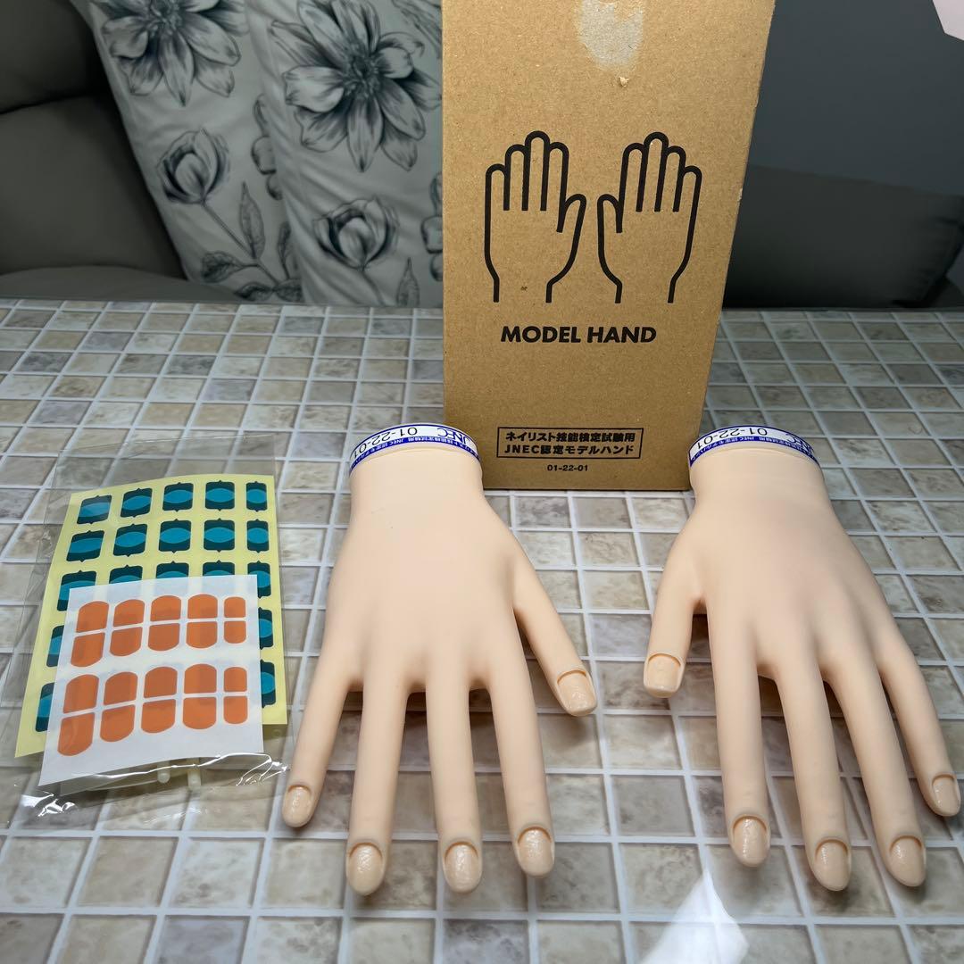 ネイルアート用モデルハンドセット　ST ◆モデルハンド