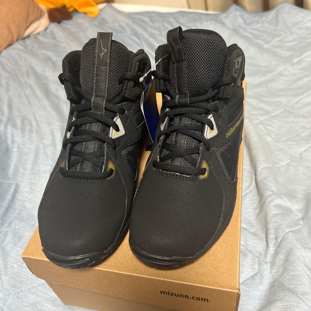 ミズノ　WAVE DIVERSE LG4 新品未使用品