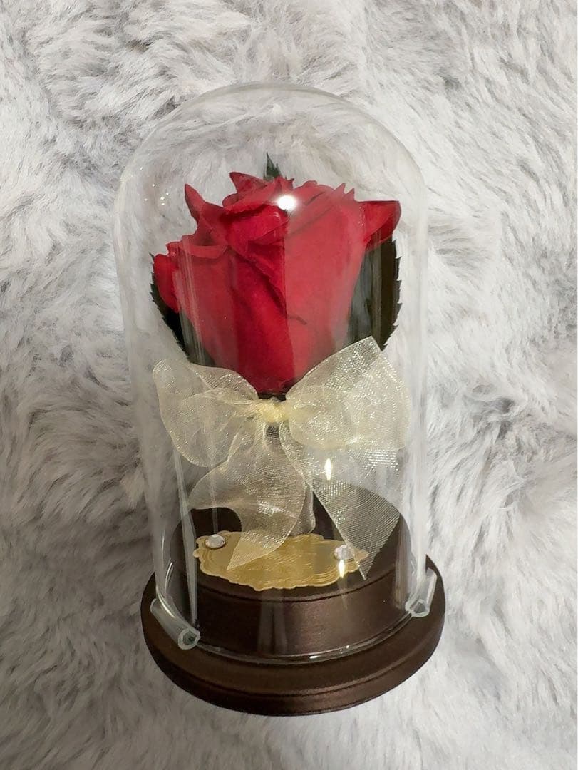 ディズニー婚約指輪美女と野獣 一心堂999本限定 オルゴール付き