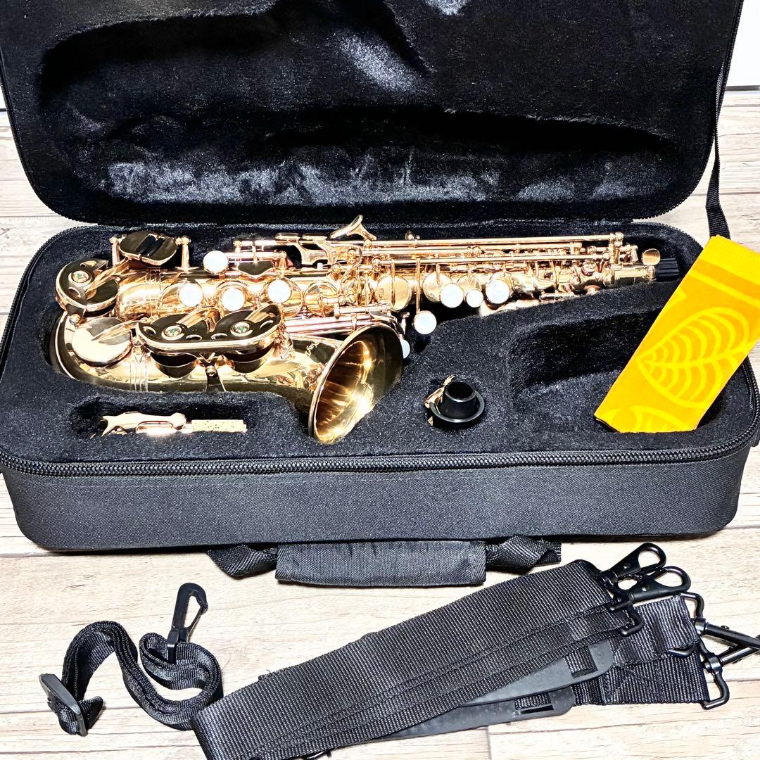 【希少 美品】PLAYTECH カーブドソプラノサックス