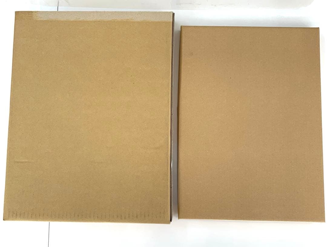 ときめきメモリアル GS VISA 直筆サイン 額装イラスト 紺野玉緒 設楽