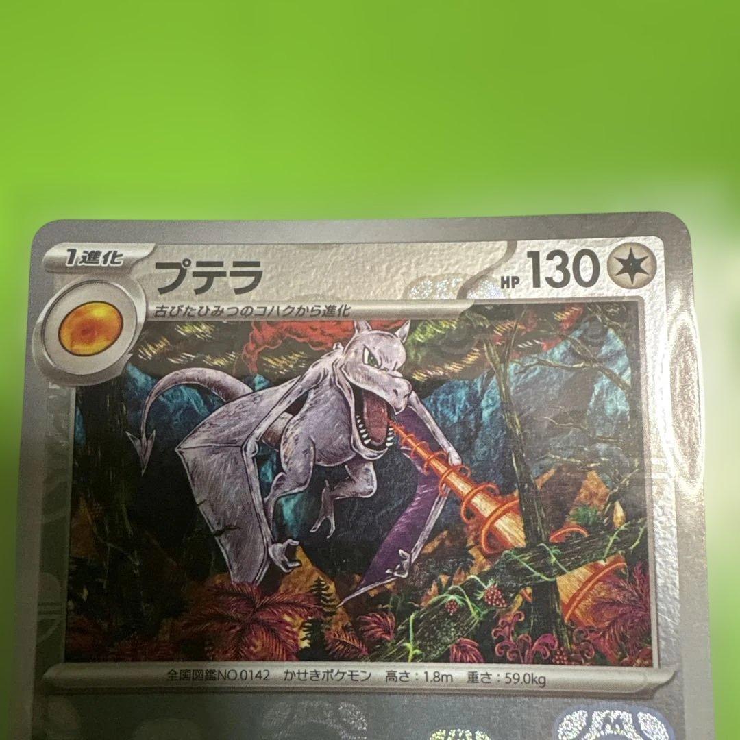 プテラ マスターボールミラー かんだしんじ - メルカリ