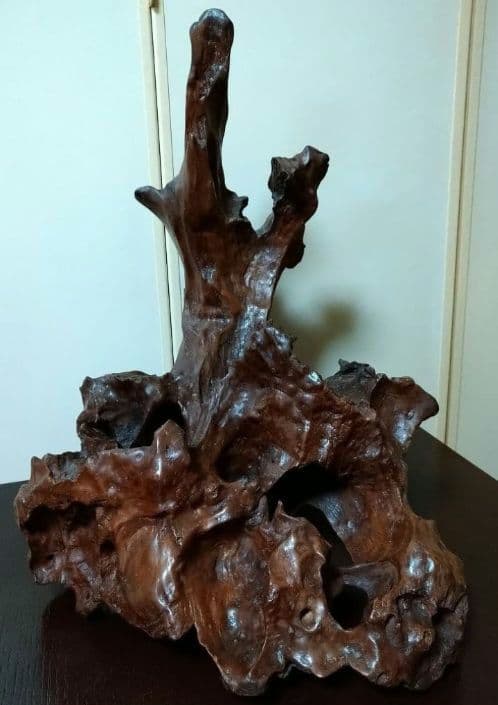 流木 天然木 枯れ木 切り株 オブジェ 床の間 飾り 希少 アート