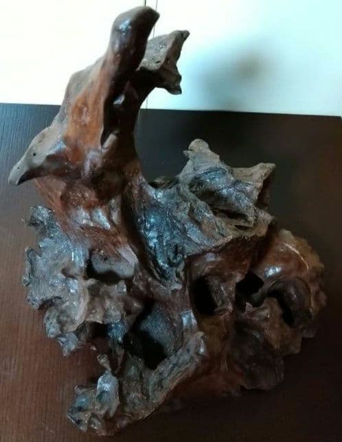 流木 天然木 枯れ木 切り株 オブジェ 床の間 飾り 希少 アート - メルカリ