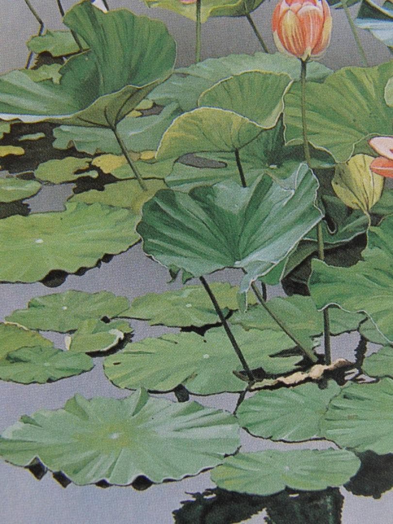 浜田泰介、【盛夏】、希少な額装用画集より、状態良好、新品額装付