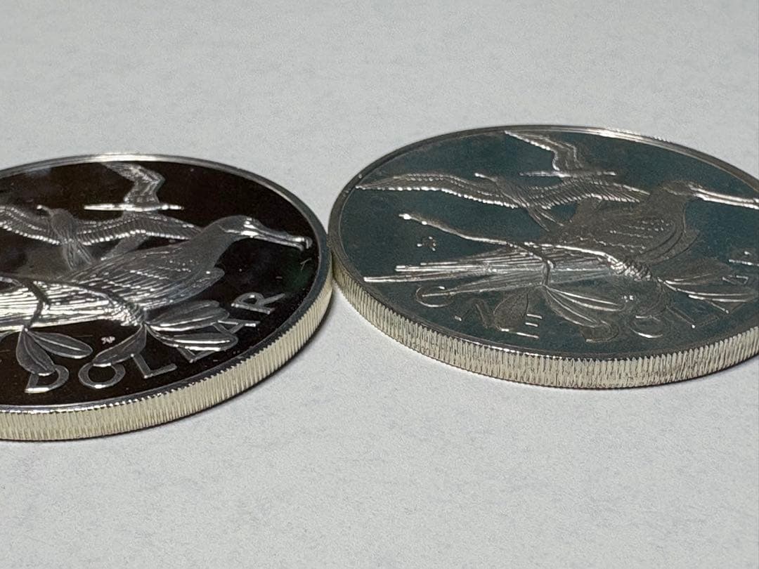 【銀貨保証】ヴァージン諸島 プルーフ貨幣セット 1ドル銀貨　2枚　50.43g