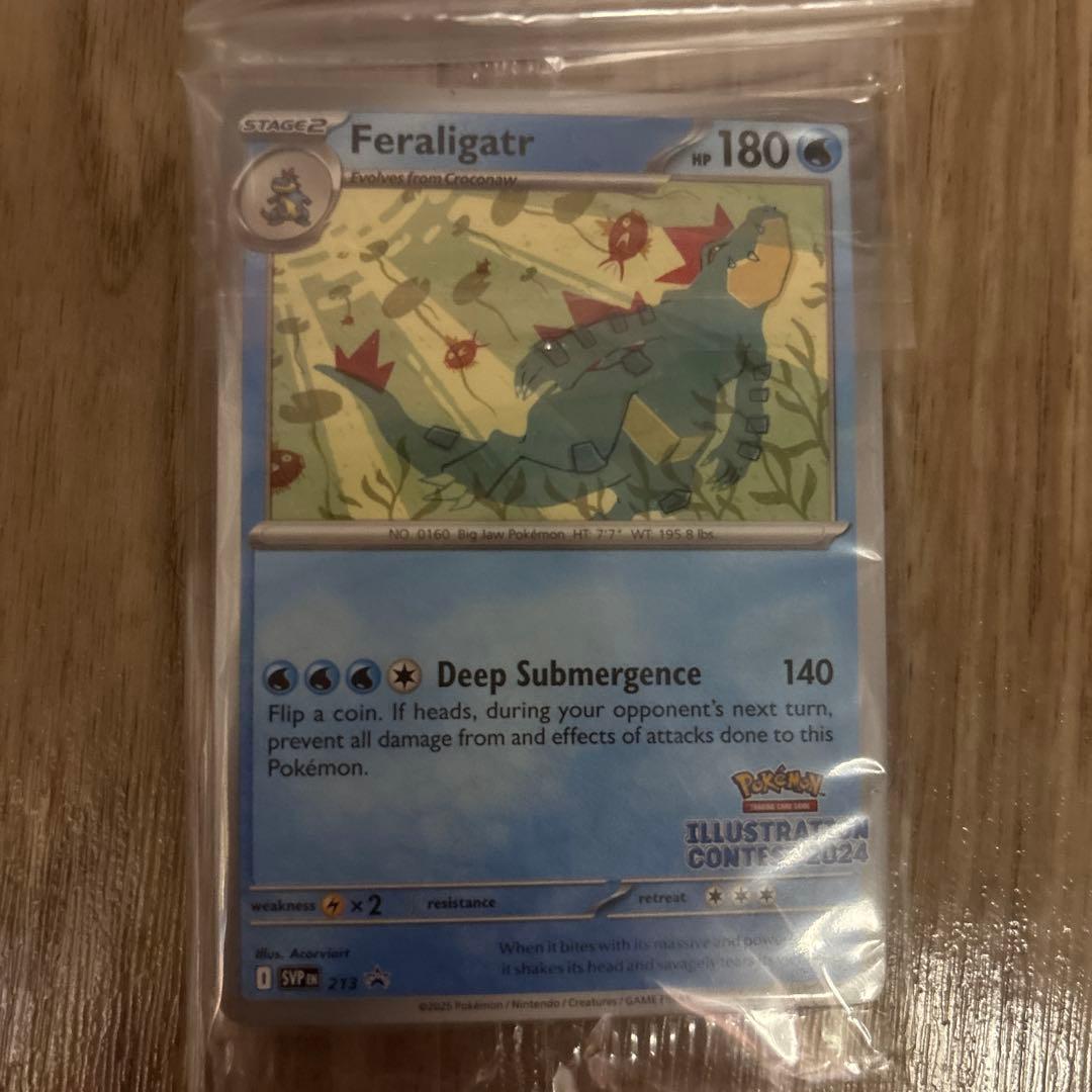 ポケカ 英語圏 illustration contests 2024 カード３枚 Pokémon Trading Card Game Illustration Contest 2024 Winners Promo