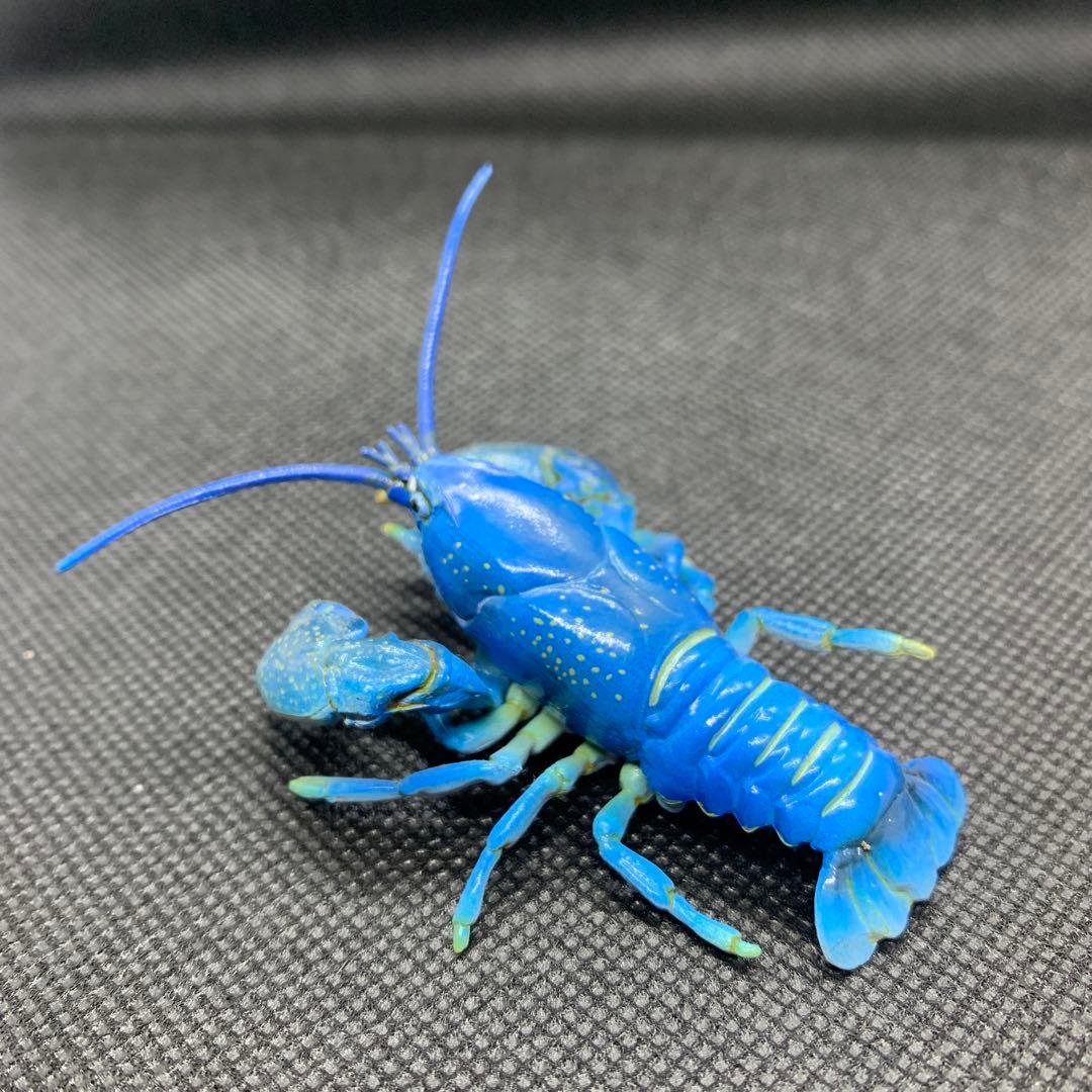 海洋堂 週刊日本の天然記念物【ニホンザリガニ（青）】開封品 - メルカリ