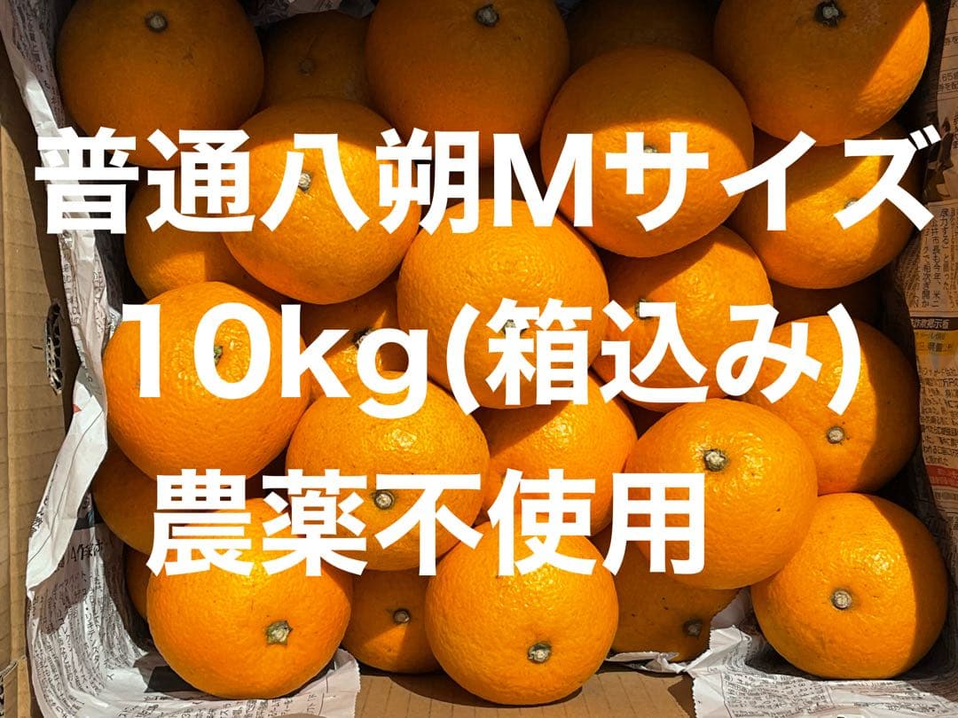 価格交渉可】因島産普通八朔Mサイズ9kg - メルカリ