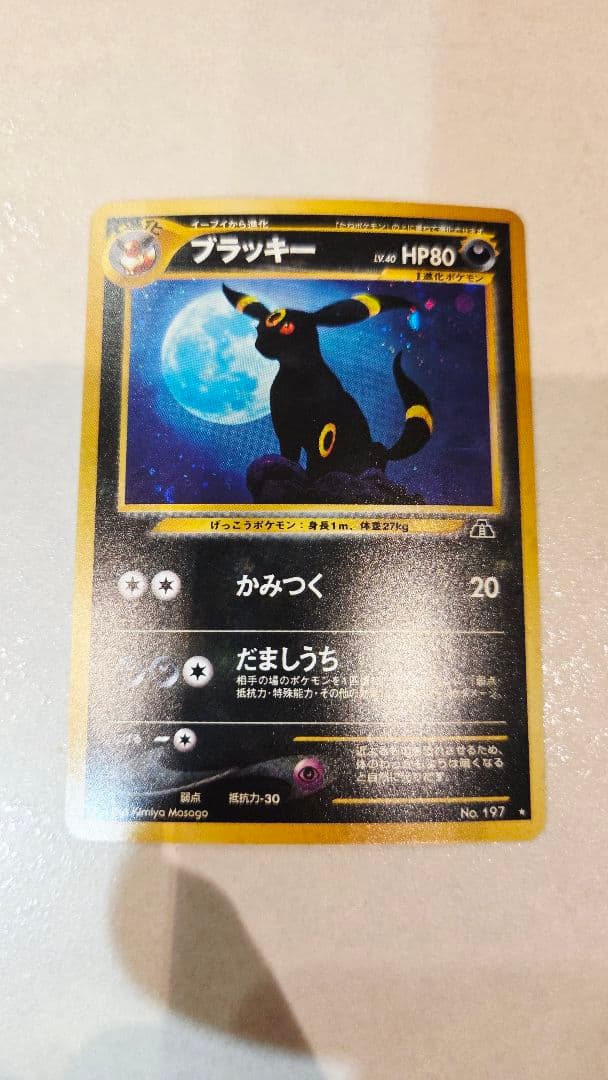 ブラッキー　(遺跡をこえて…)