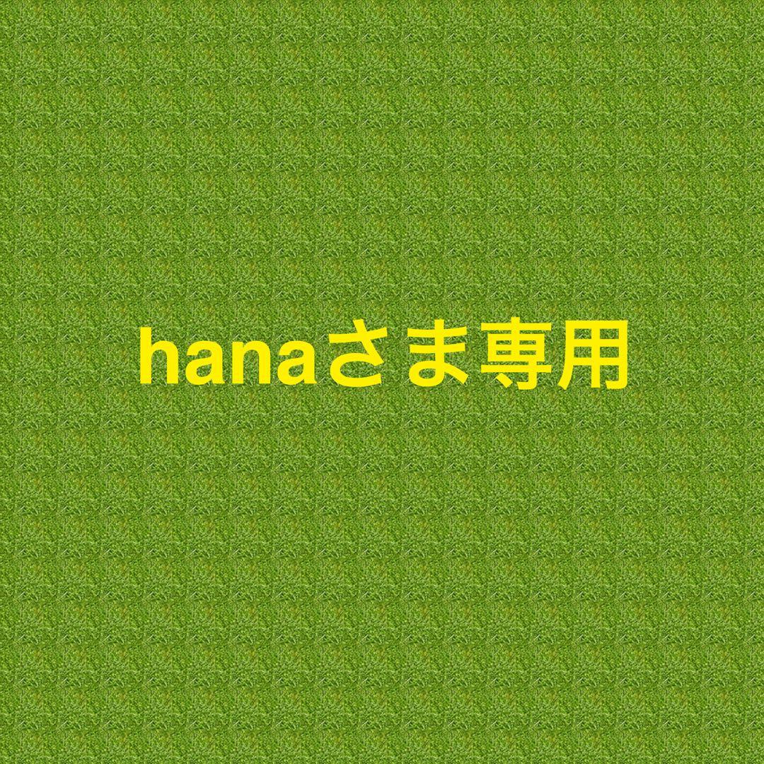 【hanaさんさま専用】お譲り品おまとめ