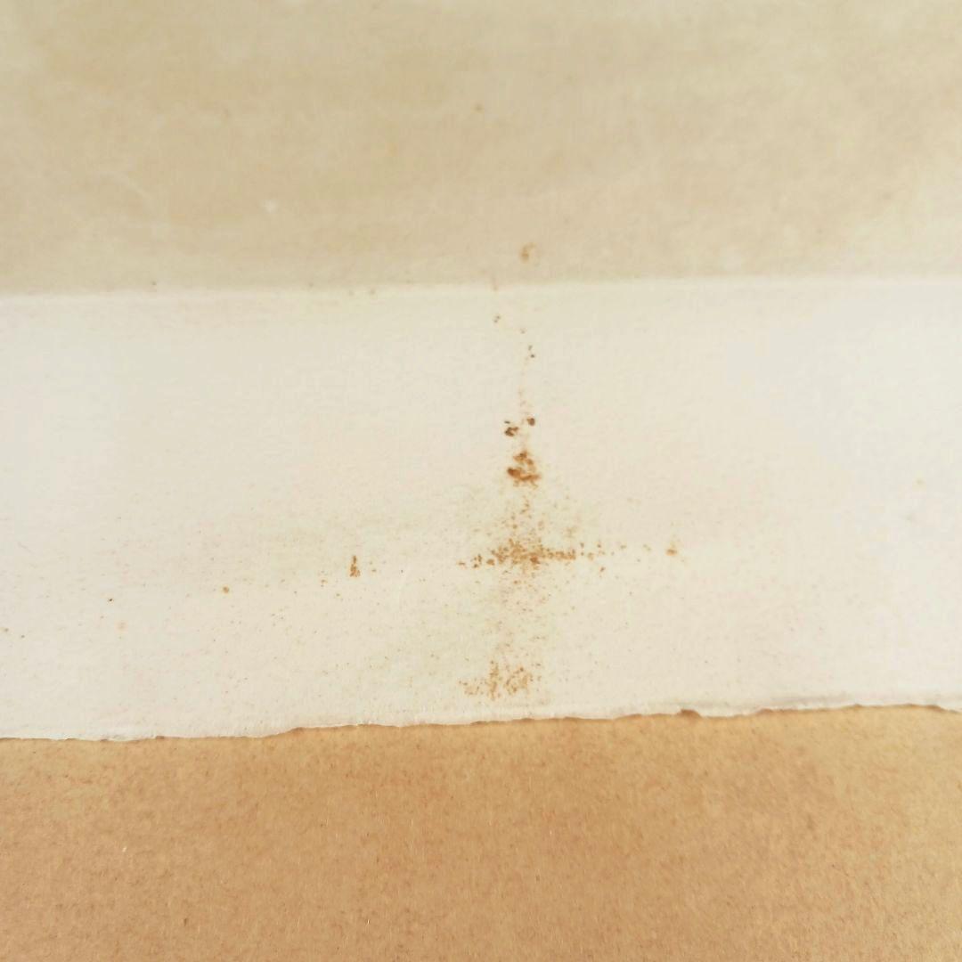 ues-20 広島の名画家 殿敷侃 版画 シダ 限定50部 図録掲載作品 - メルカリ