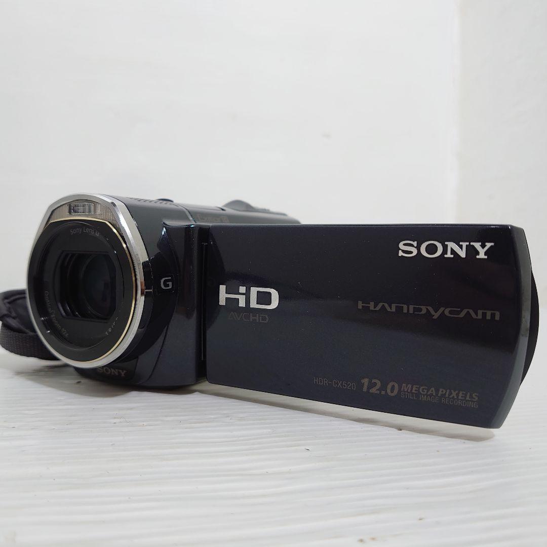 動作ok　ナイトショット　SONY　Handycam HDR-CX520V