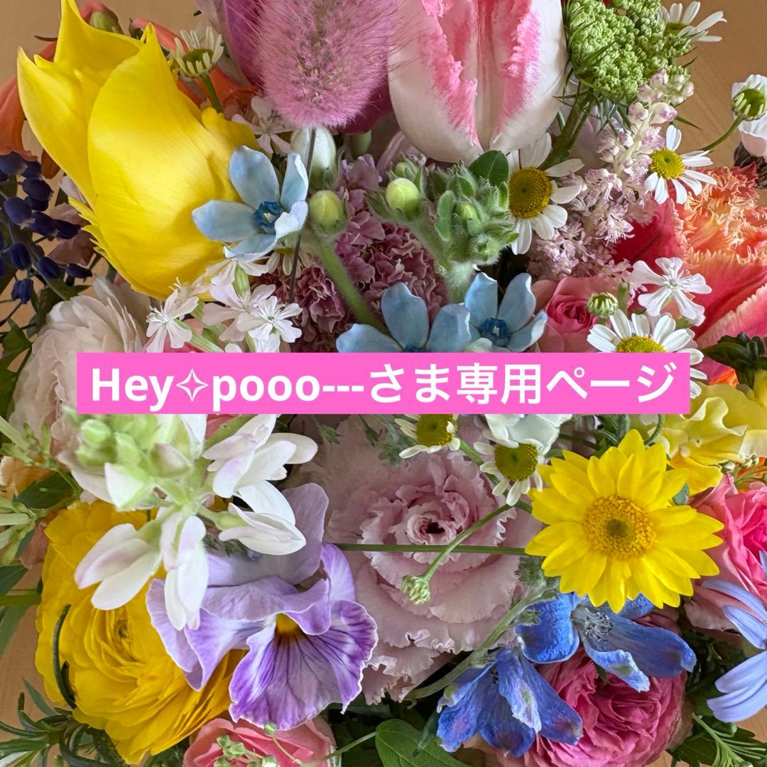 Hey✧pooo---さま専用ページ♡♡
