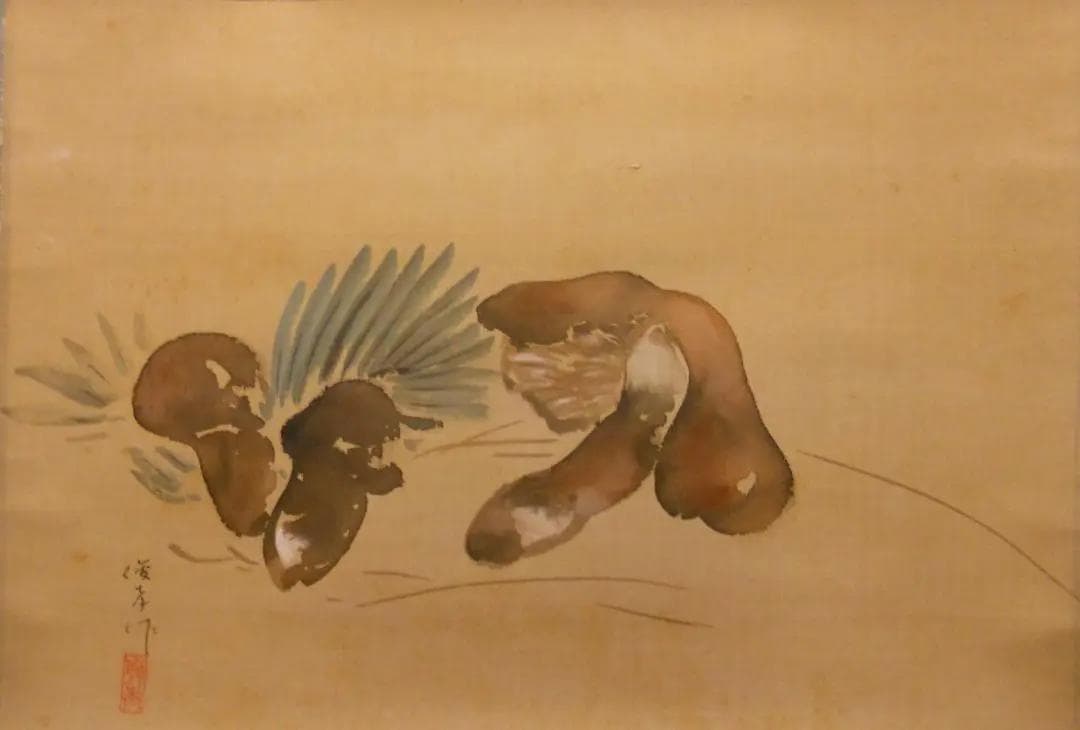 掛け軸 松本俊喬 松茸 絹本 希少 軸装 茶道具 掛軸 美品 です。