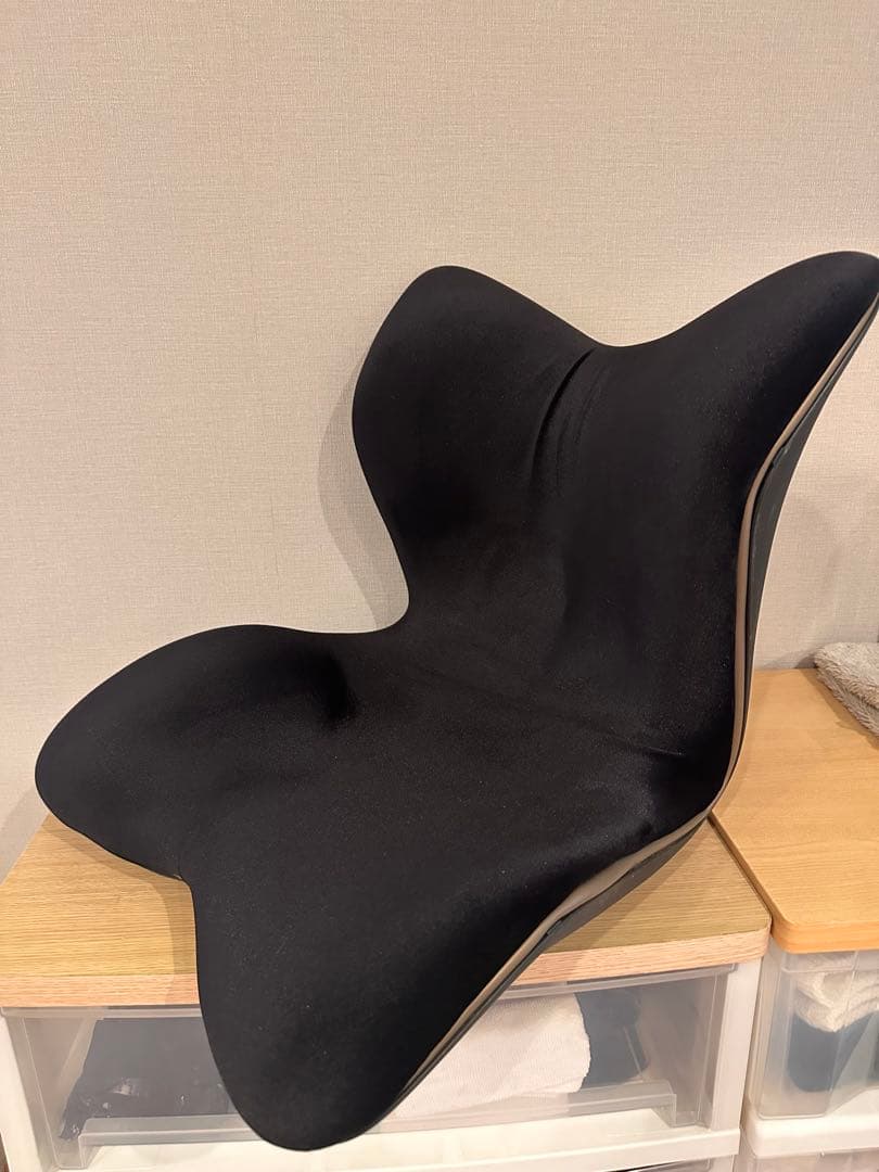 Style PREMIUM DX スタイルプレミアムデラックス　ブラック