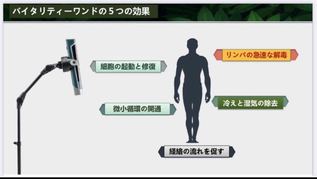 OlyLife オリーライフ バイタリティ-ワンド新品未使用 - メルカリ