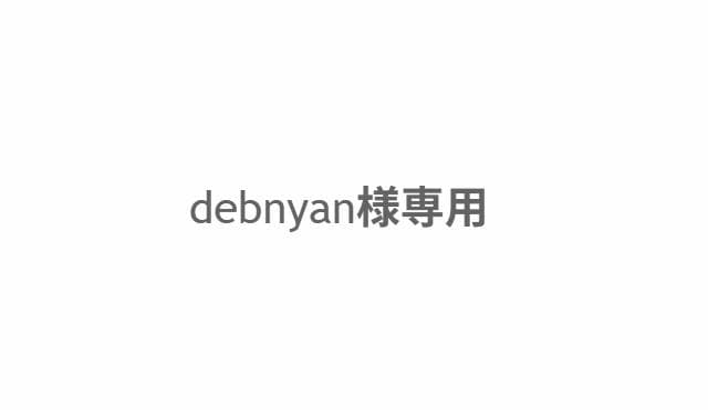 debnyan 糸魚川 翡翠 原石 入りコン沢