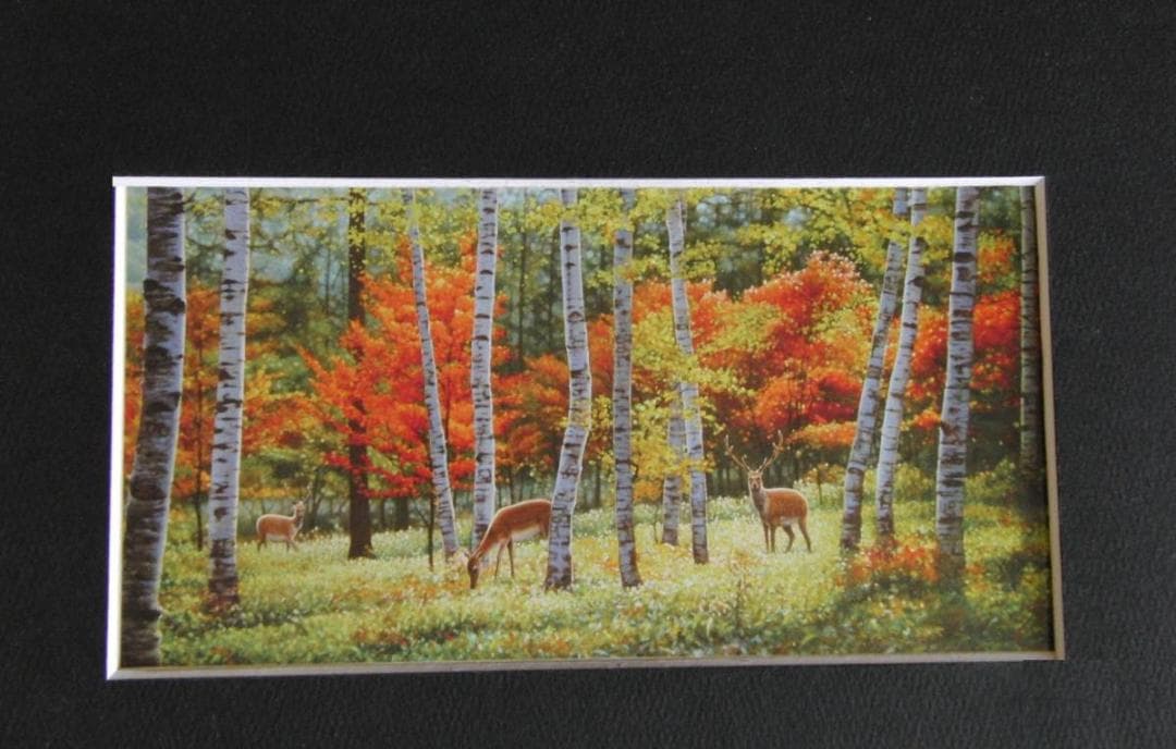 山地司、【鹿の住む森-7】、希少な額装用画集より、状態良好、新品額装付