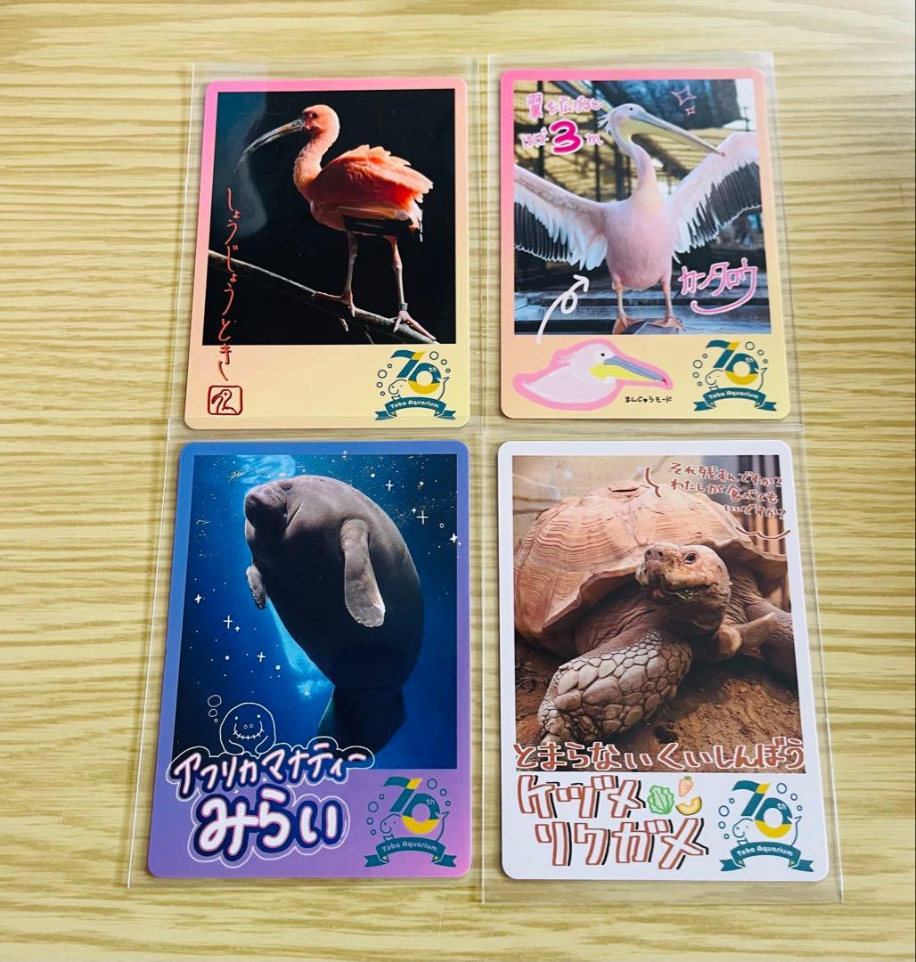 即購入◎】鳥羽水族館 コレクションカード 4枚 - メルカリ