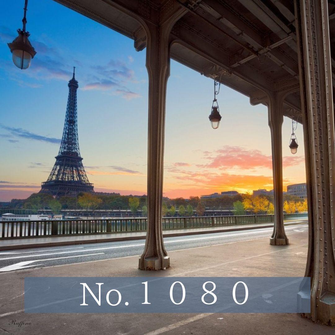 No.1080　専用出品　ピアス１点＆ペンダントトップ１点