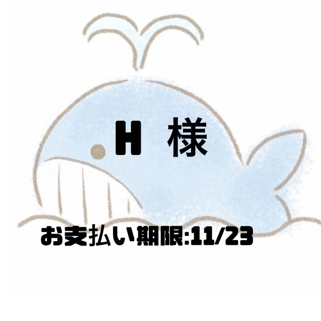 その他 H