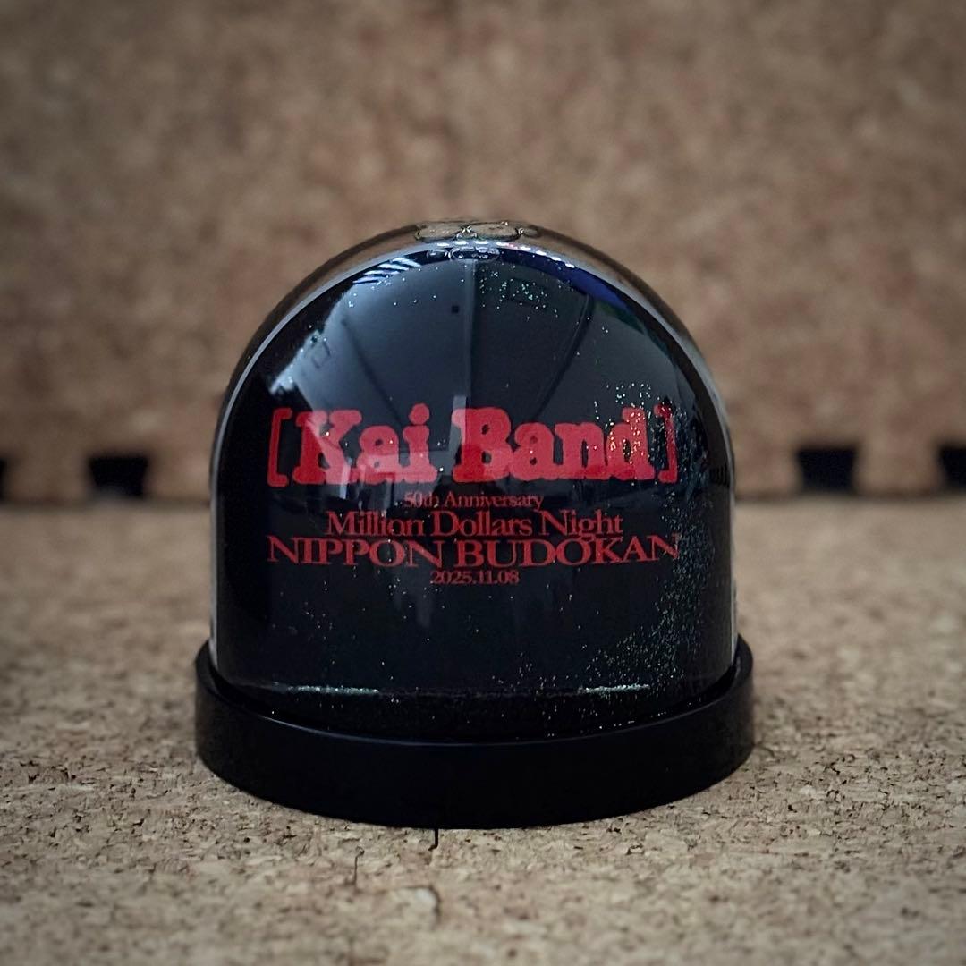 限定・非売品】甲斐バンド 武道館ライブVIP特典 スノードーム - メルカリ