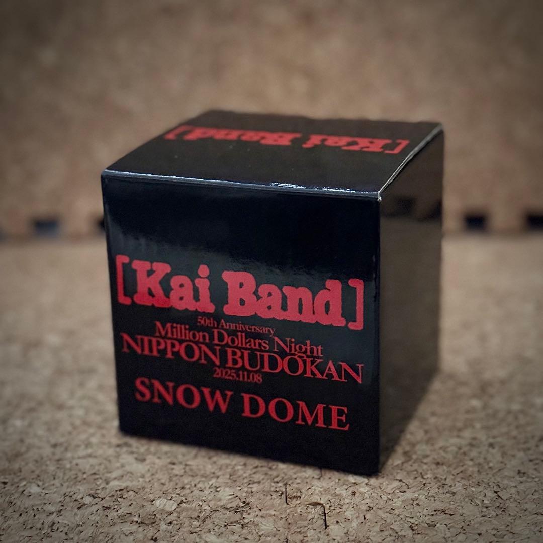 限定・非売品】甲斐バンド 武道館ライブVIP特典 スノードーム - メルカリ