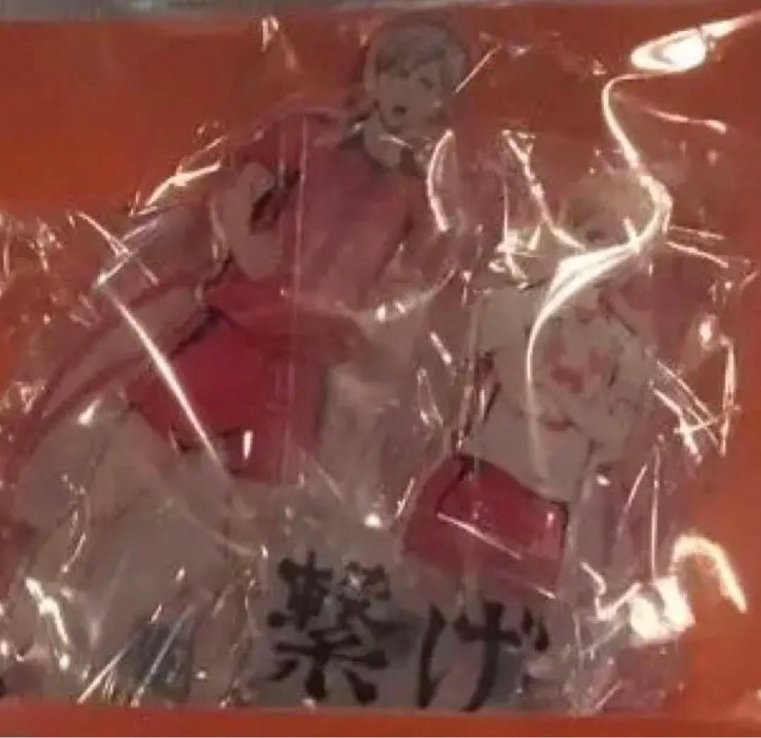 アクリル Z/X -Zillions of enemy X- 3枚アクリルパネル「ニノ」：【公式