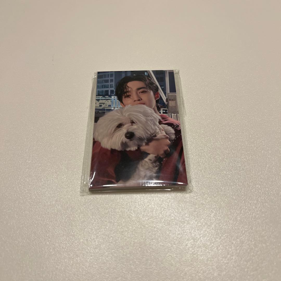 SEVENTEEN セブチ LOVE 東京 来場者限定 トレカ - メルカリ